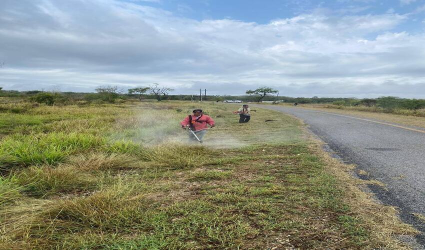 ALDAMA SE EMBELLECE: LIMPIEZA EN LA GLORIETA RUMBO A BARRA DEL TORDO