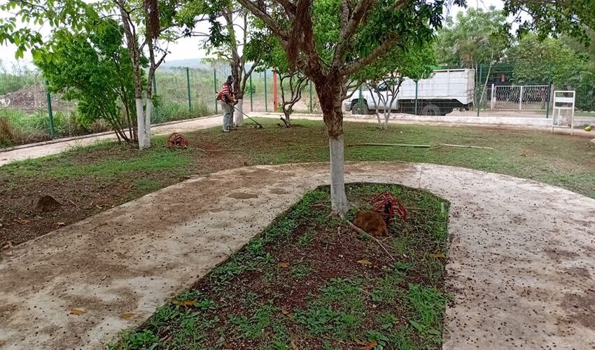 ¡Seguimos trabajando por un Aldama más limpio y ordenado!